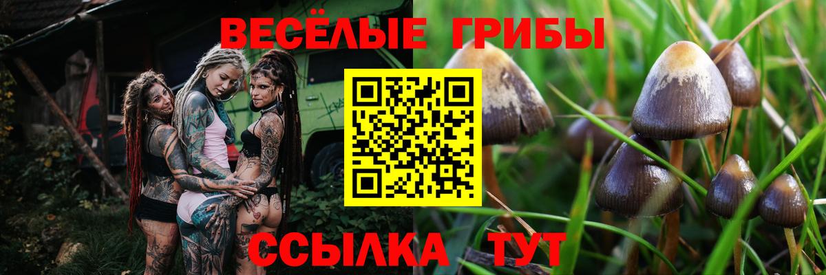 Галлюциногенные грибы ЛСД  даркнет сайт  Братск  Вход с VPN 
