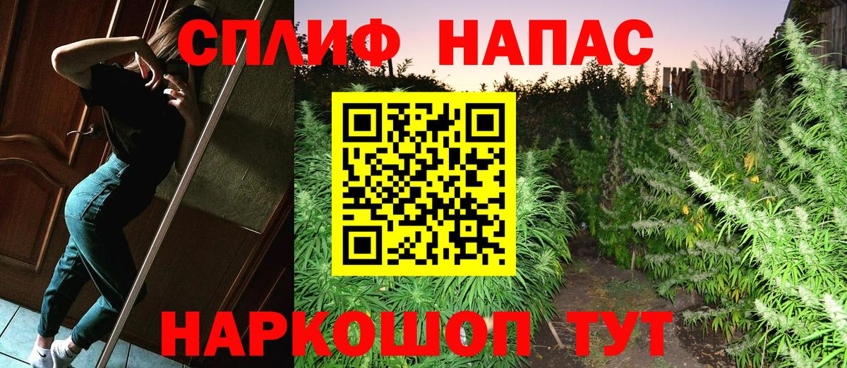 Бошки Шишки план Братск